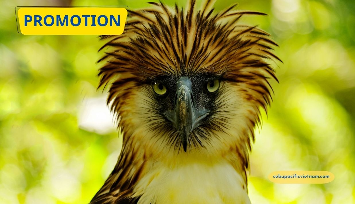 KHUYẾN MÃI VÉ MÁY BAY ĐI PHILIPPINES GIÁ CHỈ TỪ 75USD