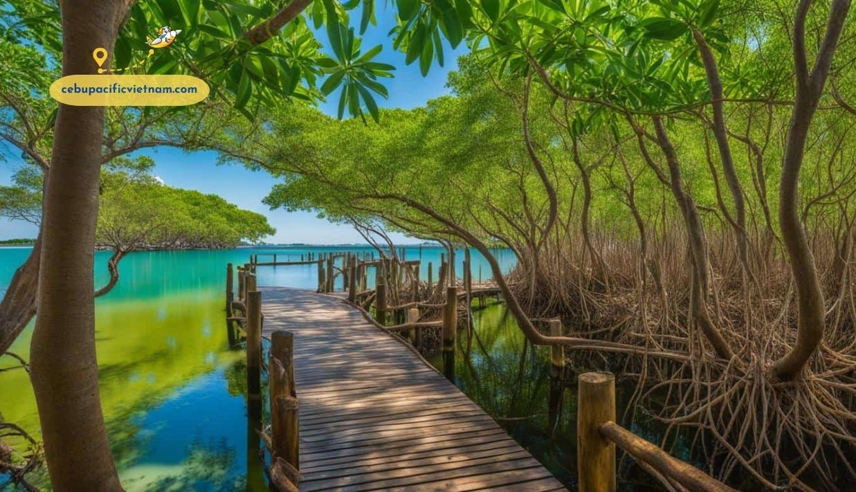 TUYẾN BAY ĐẾN CALBAYOG
