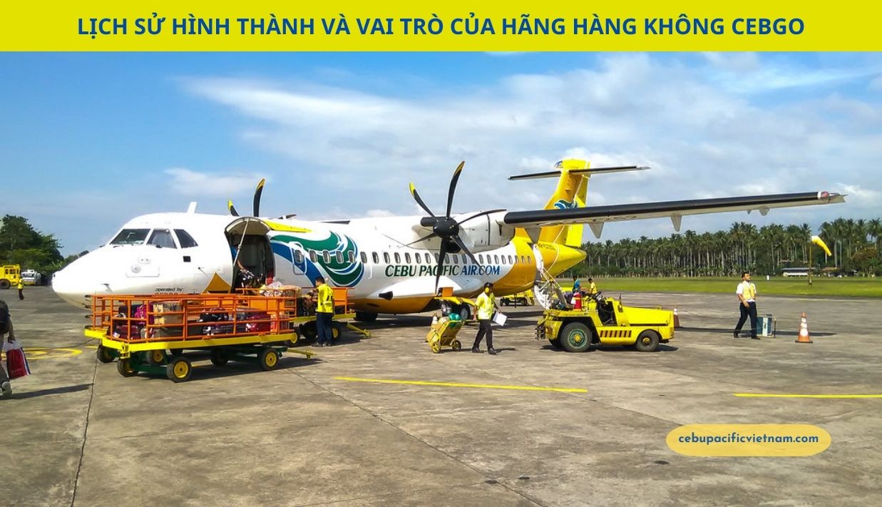 Lịch sử hình thành và vai trò của hãng hàng không Cebgo