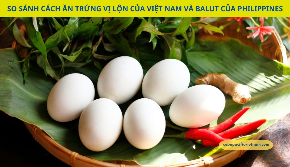 So sánh cách ăn trứng vị lộn của Việt Nam và Balut của Philippines