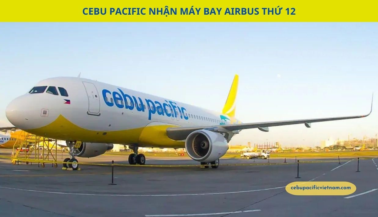 Cebu Pacific nhận máy bay Airbus thứ 12